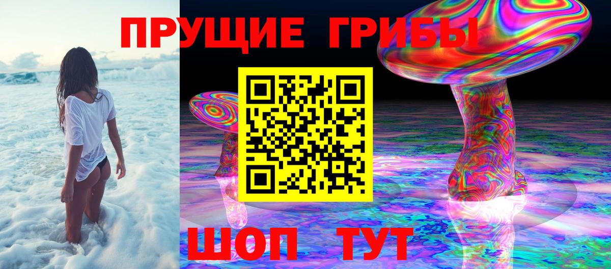 купить   Вход с VPN  Галлюциногенные грибы мицелий  Кохма  Псилоцибиновые грибы мицелий 