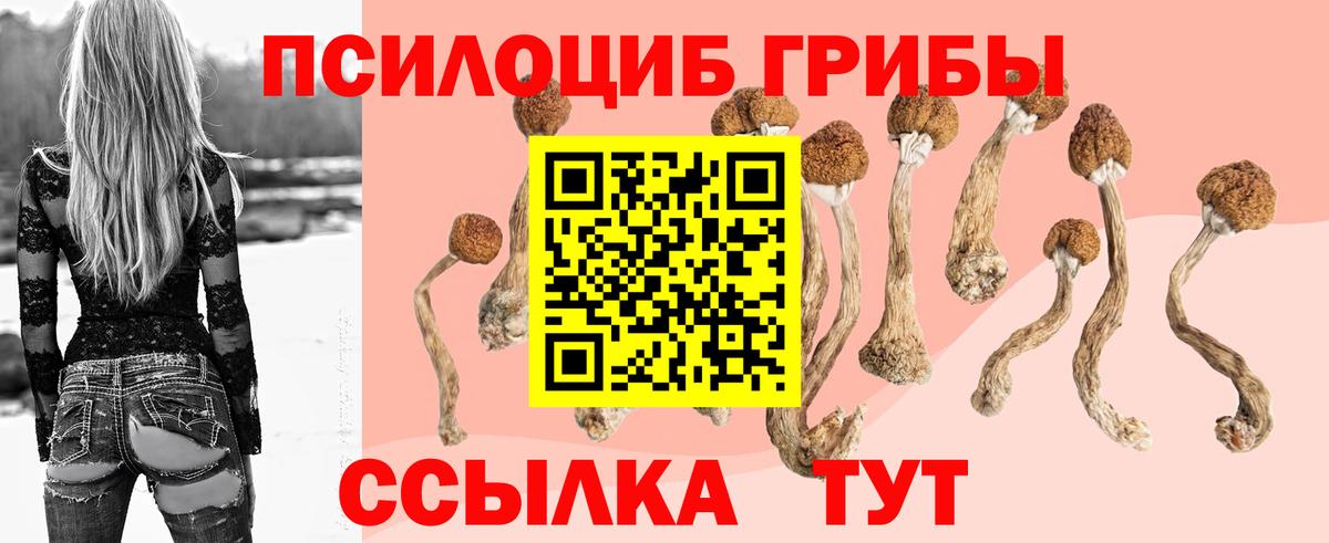 Галлюциногенные грибы мухоморы Кохма